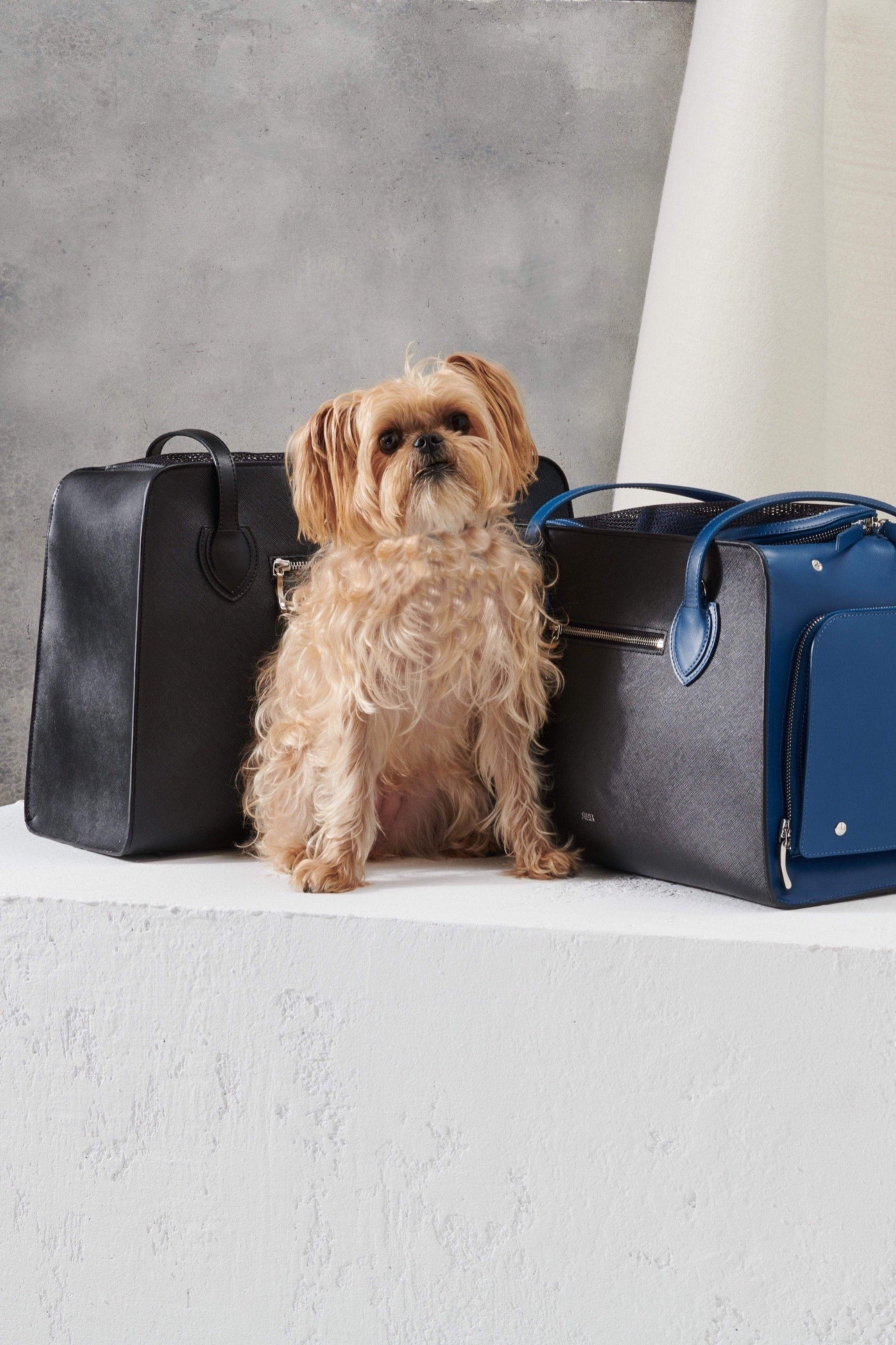 Designer Luxury Dog Carriers, Dog Carrier