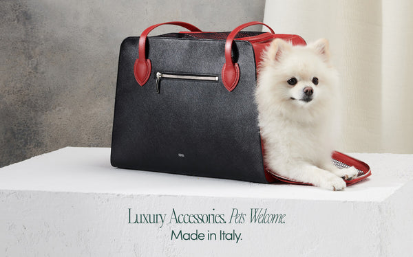 Why indulge in luxury accessories for your cat or dog?