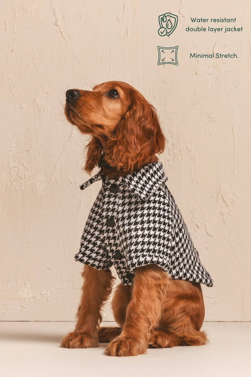 British Dog Jacket with water resistant description