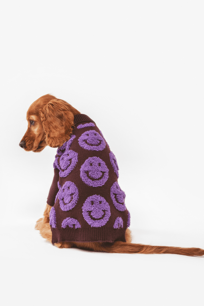 Shaya Made You Smile Dog Sweater