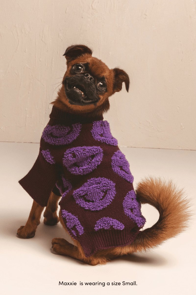 Shaya Made You Smile Small 
Dog Sweater