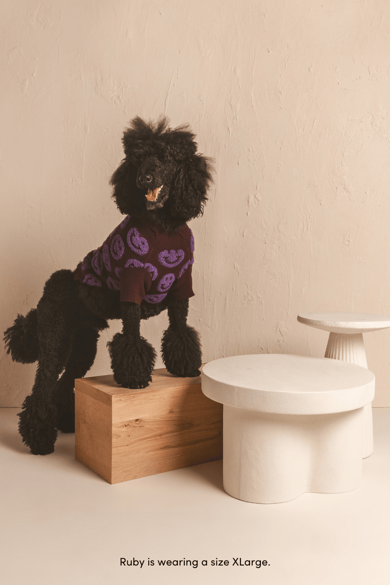 Shaya Made You Smile Dog Sweater on Black Poodle