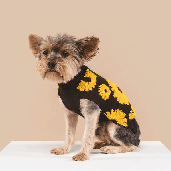 Shaya Pets Sunflower Days Luxury Sweater - Black Yellow - Size Small