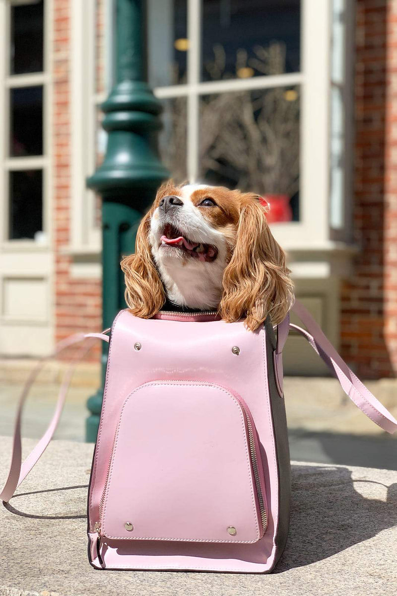 Hot PInk Faux Leather Designer Dog Carrier